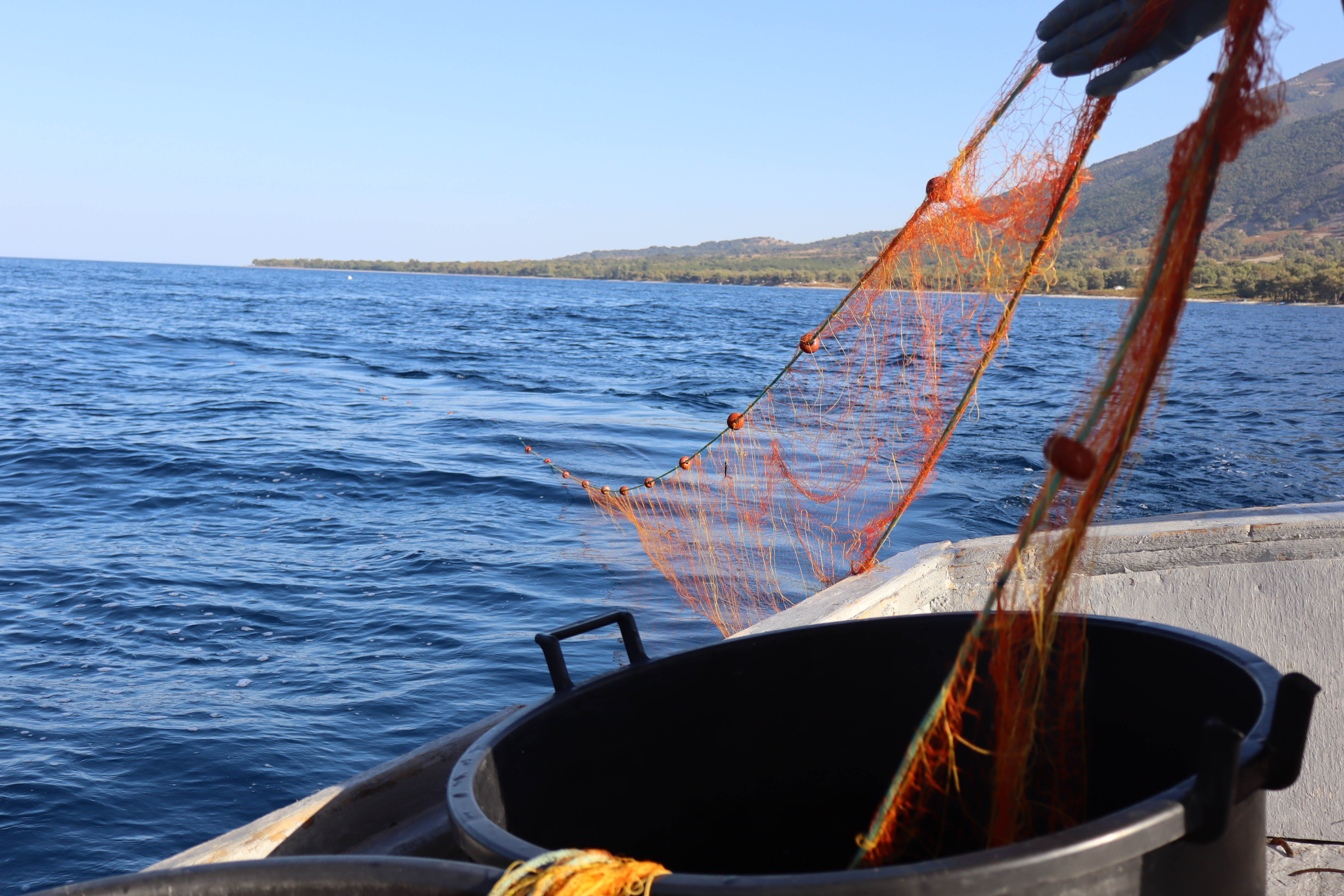 Μέσα από τα δίχτυα τους, οι ψαράδες της Μεσογείου βιώνουν κάθε χρόνο τις συνέπειες της θαλάσσιας βλέννας (mucilage), η οποία προσκολλάται στα εργαλεία και εμποδίζει την αλιευτική τους δραστηριότητα. / Αναστασία Καραδημήτρη